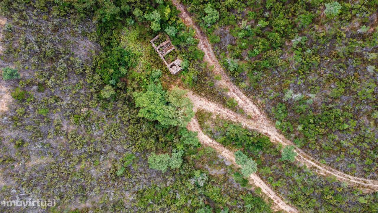 Quinta na Serra de Monchique - Grande imagem: 5/11
