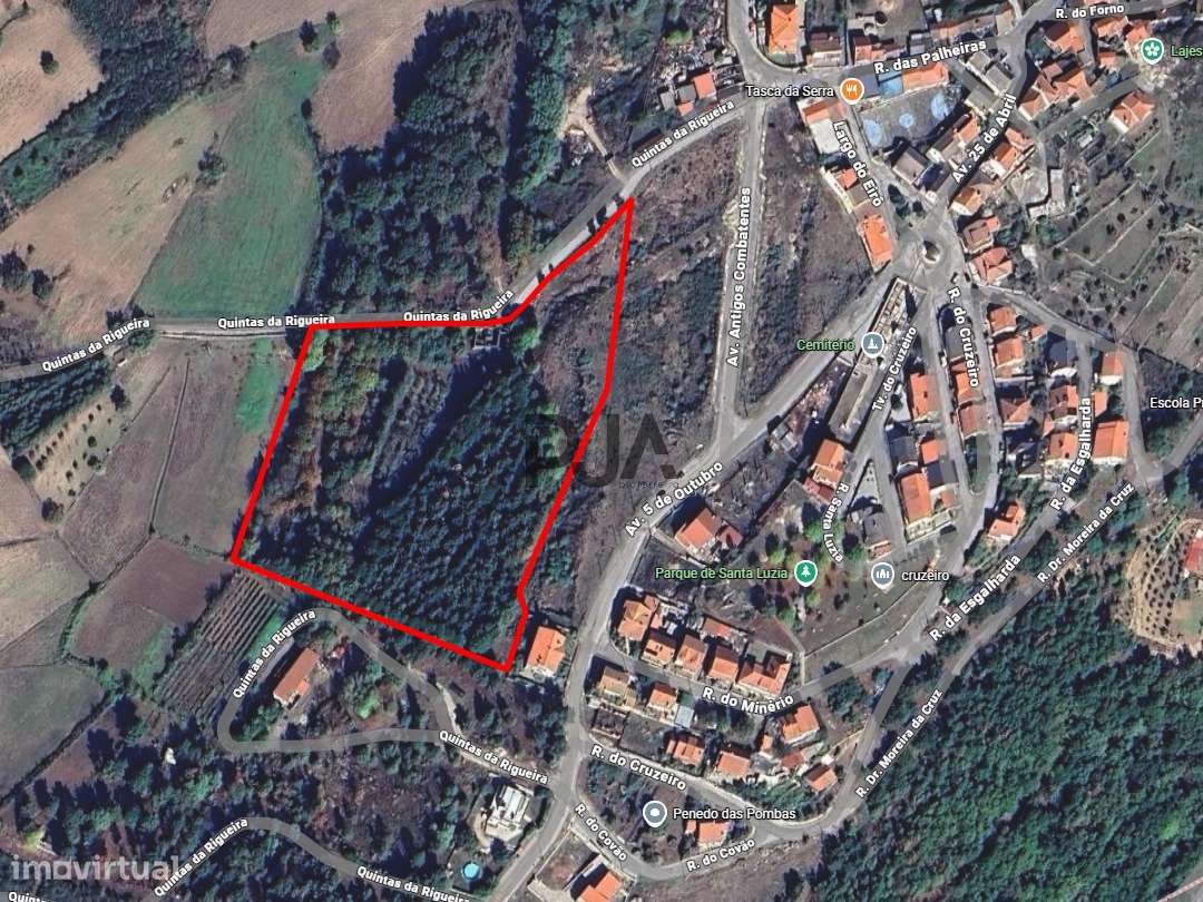 Quinta com 2ha em Fornos de Algodres - Grande imagem: 2/11