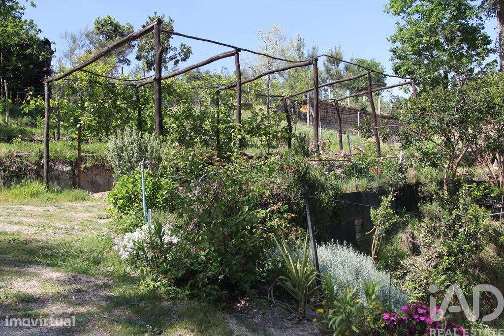 Terreno Agrícola em Oliveira do Hospital e São Paio de Gramaços-12