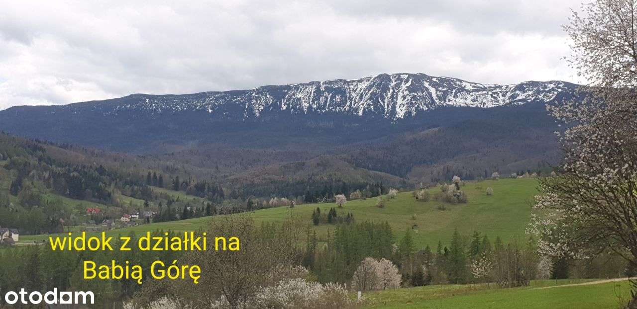 Inwestycja osiedle 8 domów z bali z działką Zawoja-4