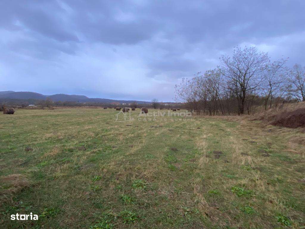 Caransebes, Teren Drept 5087 Mp. Ideal pt Casa 20 Euro Mp. Racovita - Imagine principală: 5/12