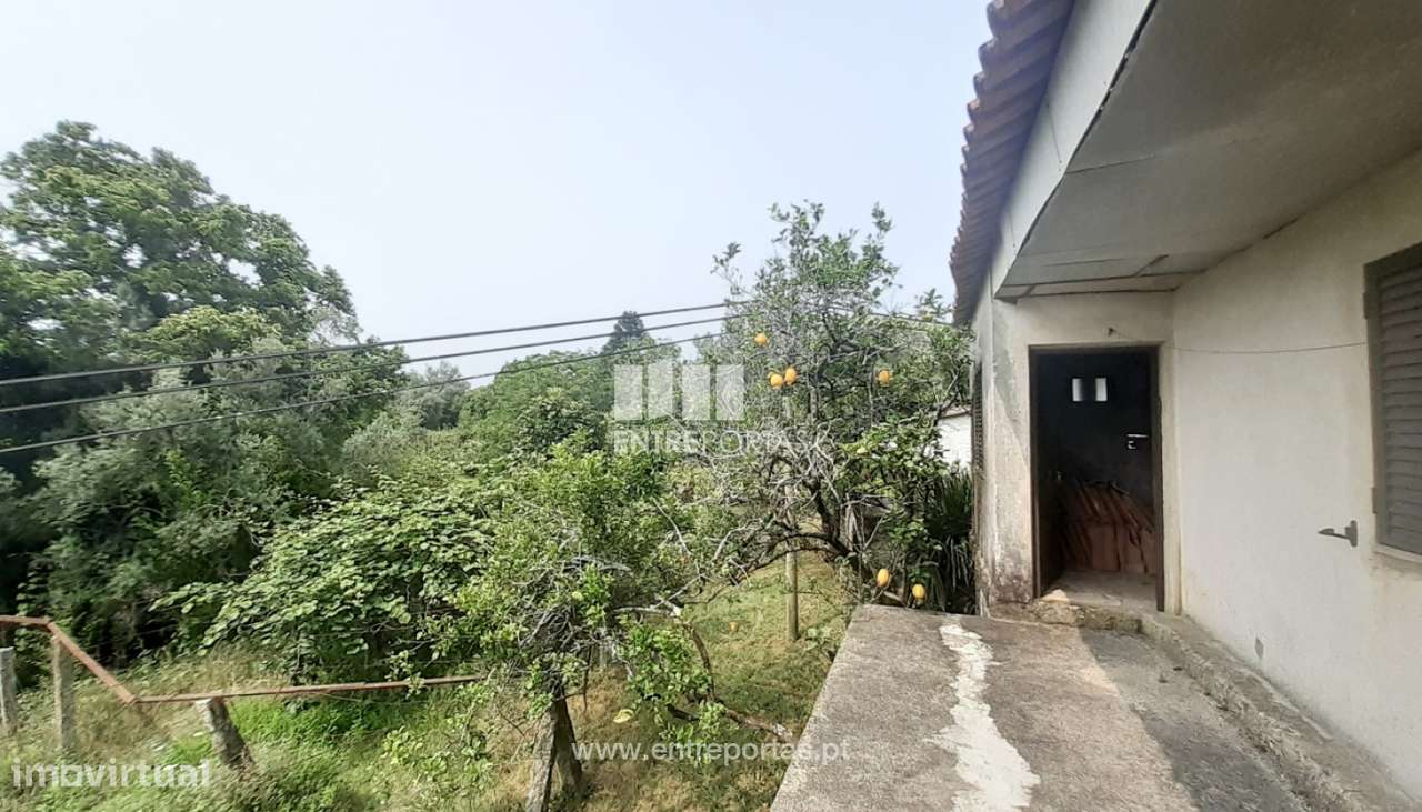 Venda de Quintinha, Serreleis, Viana do Castelo - Grande imagem: 3/30