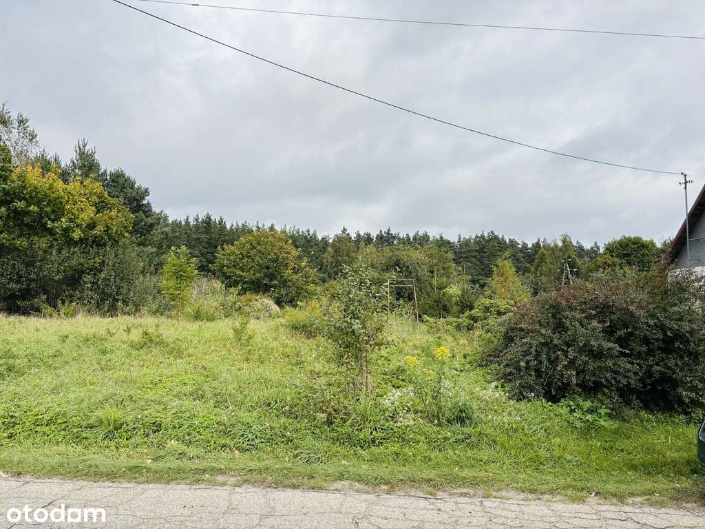 Budowlana na Mazurach, blisko dwa jeziora. - Pełny obrazek: 4/6