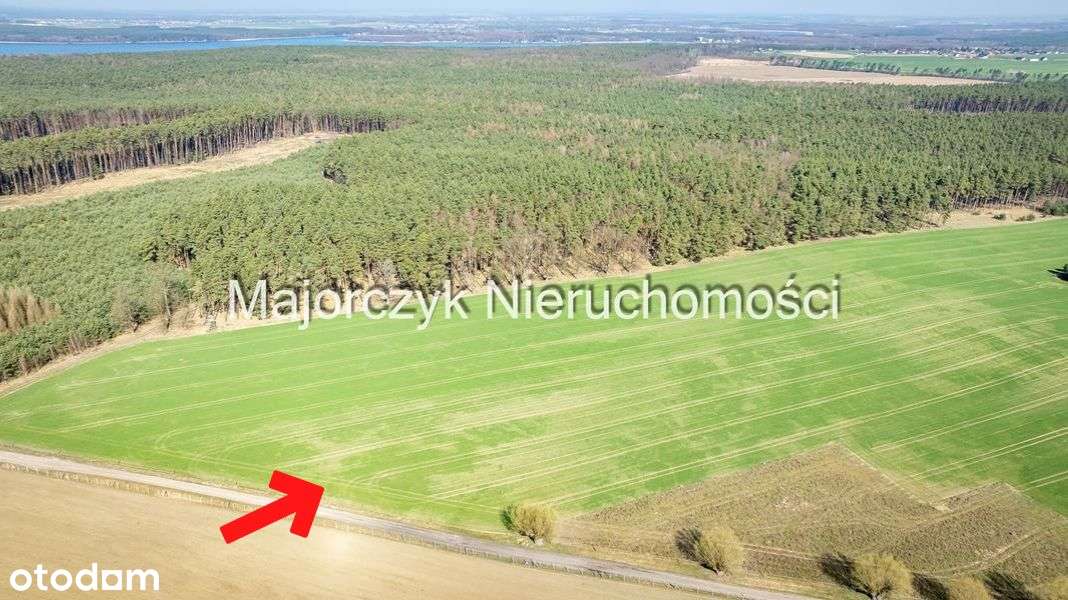 Działki budowlane w pięknej lokalizacji - Włoszakowice - Pełny obrazek: 4/20