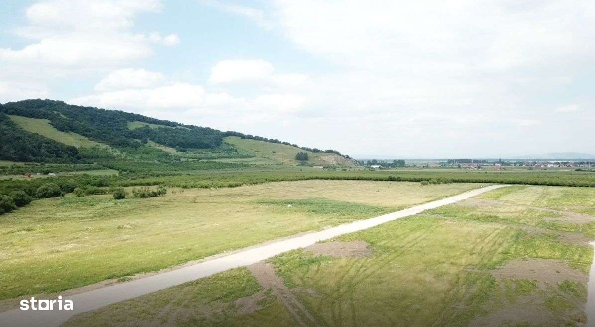 Vand teren intravilan Sanpetru la poalele Dealului Lempes-17