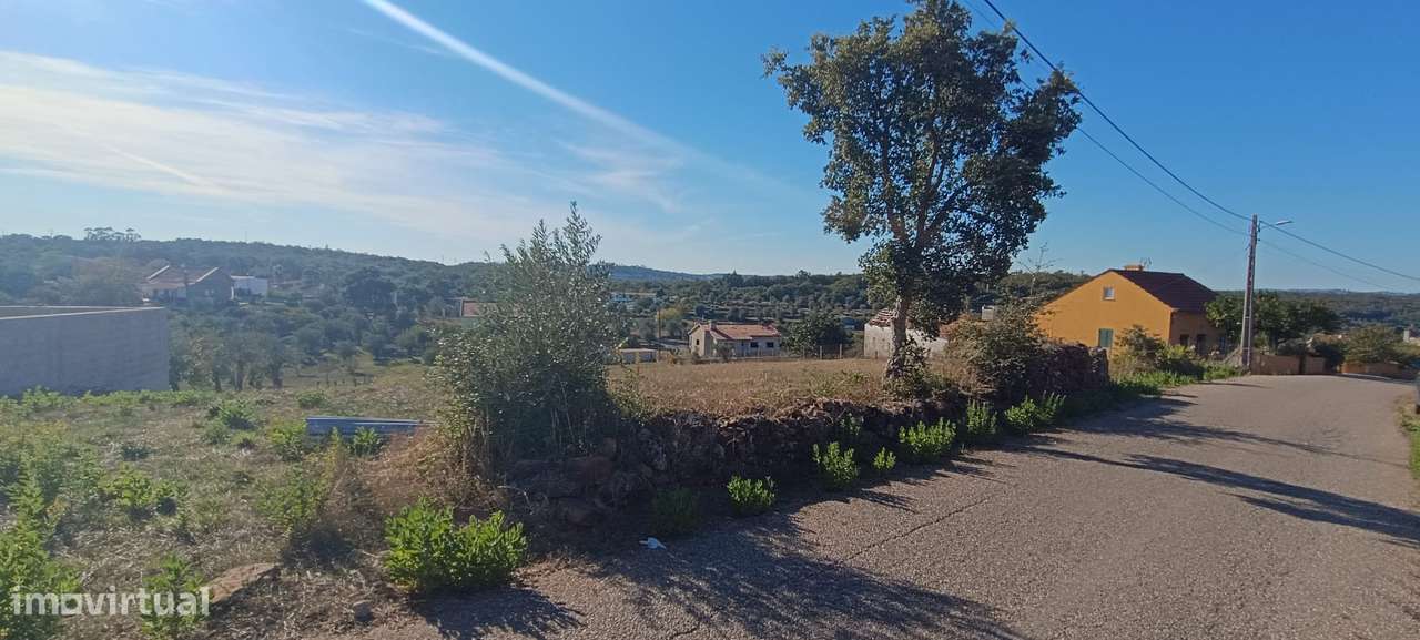 Terreno rústico com 3.700 m² – A 7 km de Tomar-6