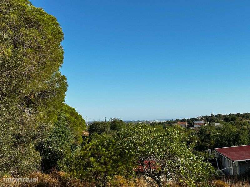 Terreno Rustico em Boliqueime, Ribeiro - Grande imagem: 4/12