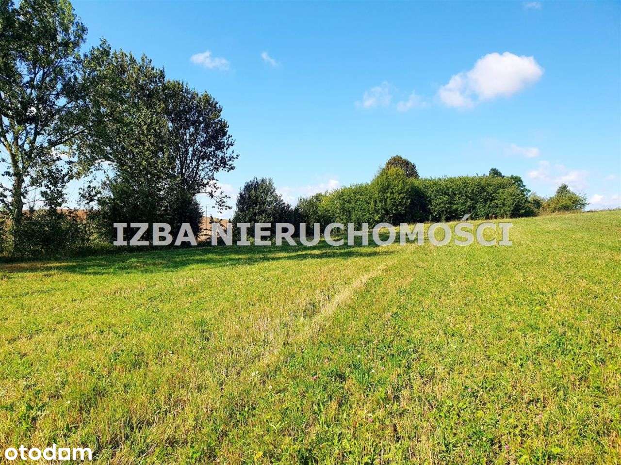 Działka, 88 000 m², Czaple-4