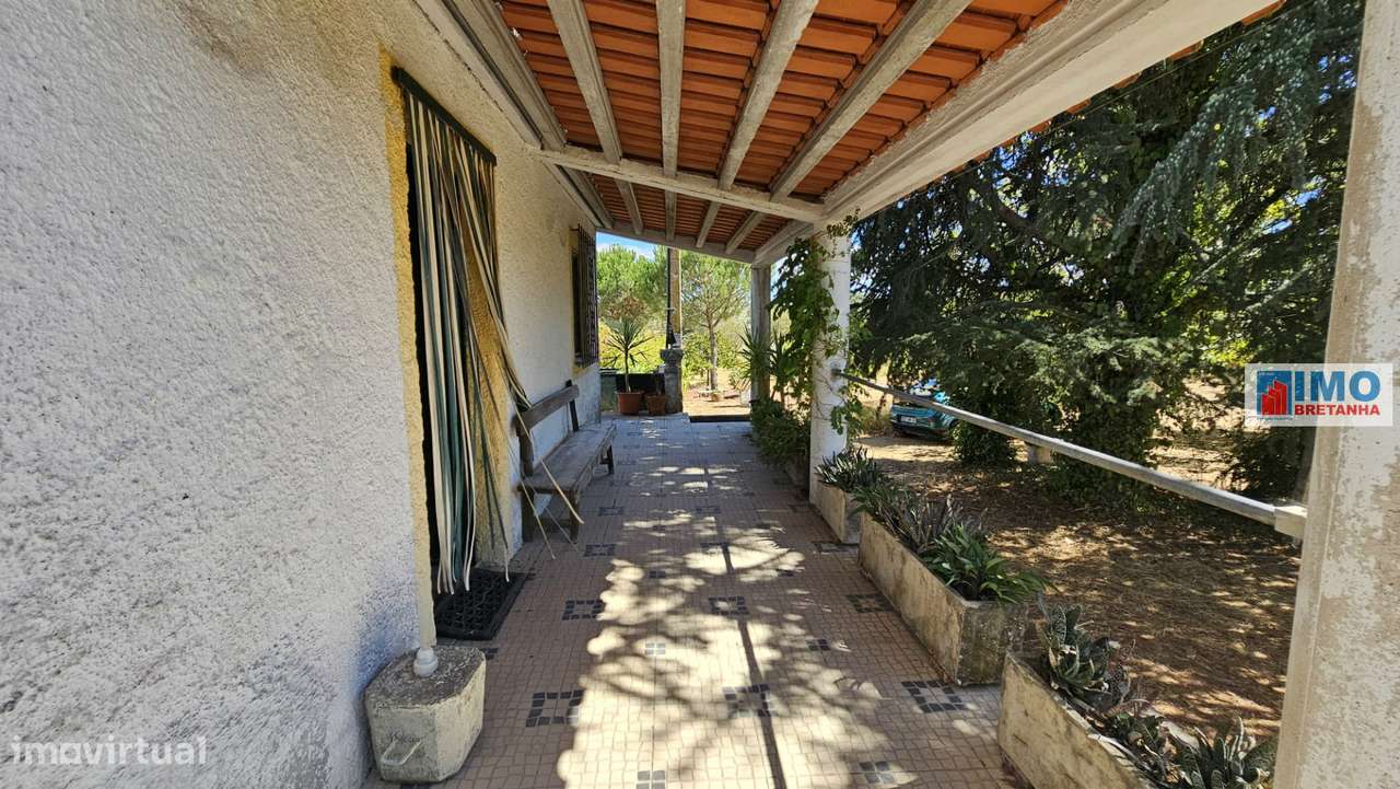 Quinta em Alvarcões  - Castelo Branco - Grande imagem: 5/40