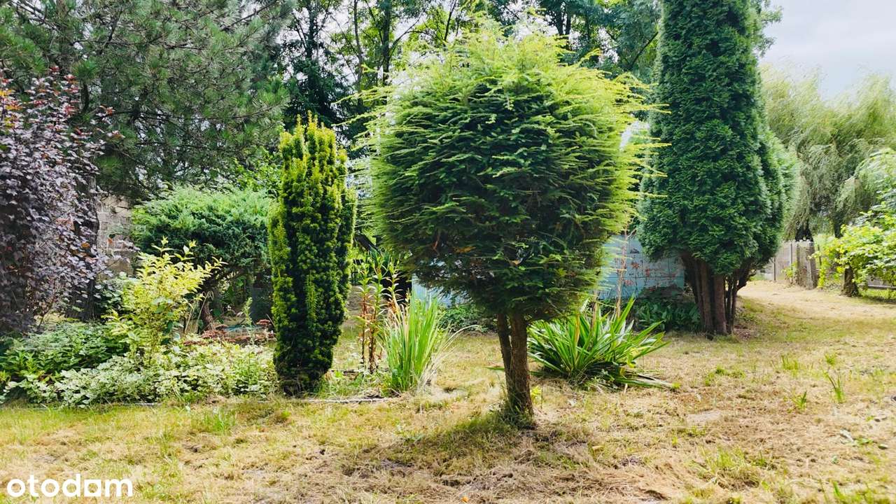 Dom, 70.0 m², Uszew - Pełny obrazek: 5/7