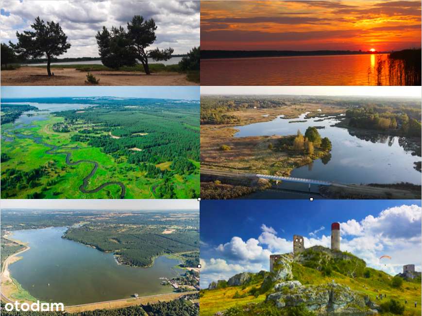 Działka budowlana z własnym lasem blisko jeziora-5