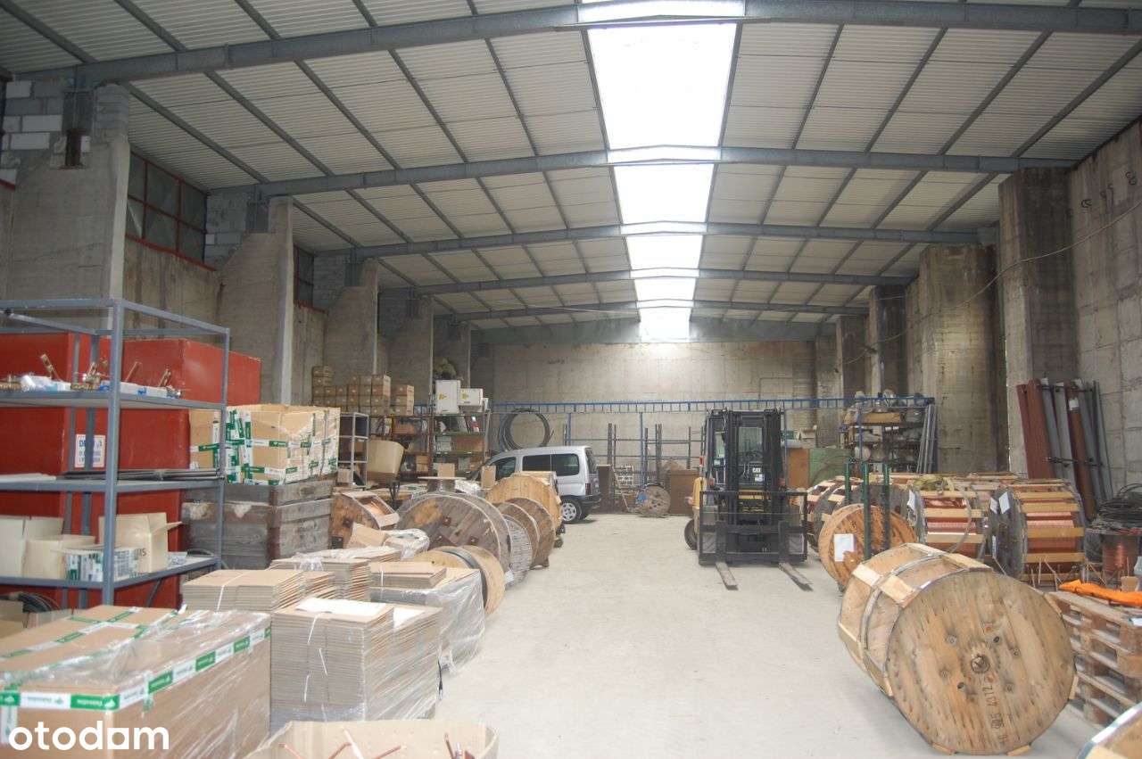 Teren Przemysłowy Hala 1200 m2 Wysokość 8m - Pełny obrazek: 4/11