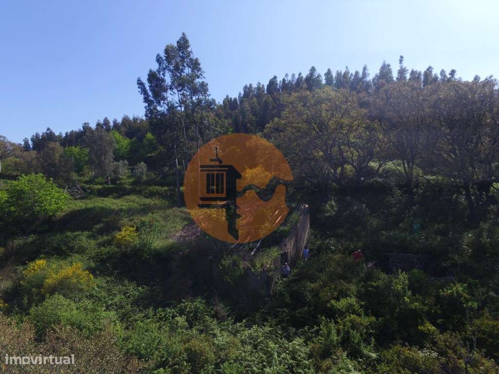 Terreno. Rustico - Grande imagem: 5/16