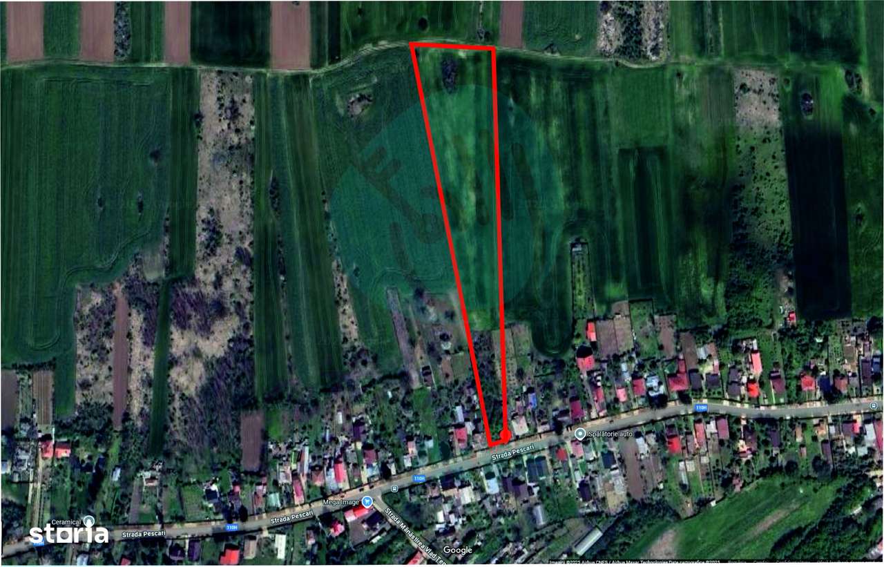 Teren 16534 mp pentru dezvoltare rezidențială, Siliștea Snagovului - Imagine principală: 2/7