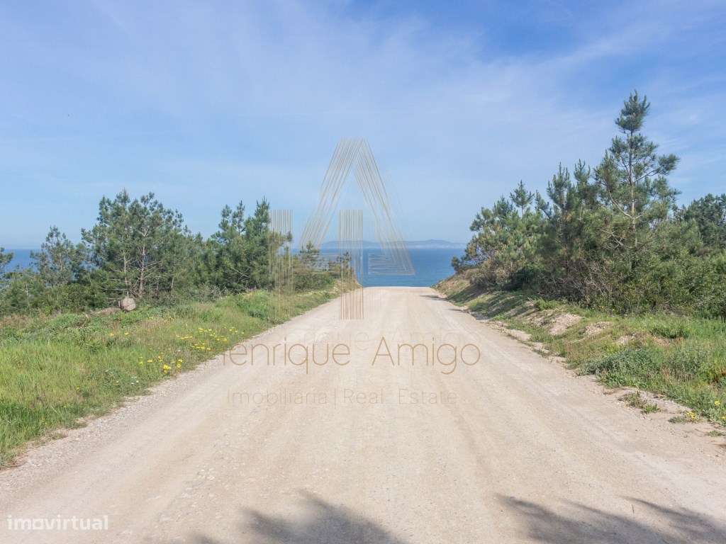 EXCLUSIVO | Propriedade rústica com vista mar - Grande imagem: 3/14