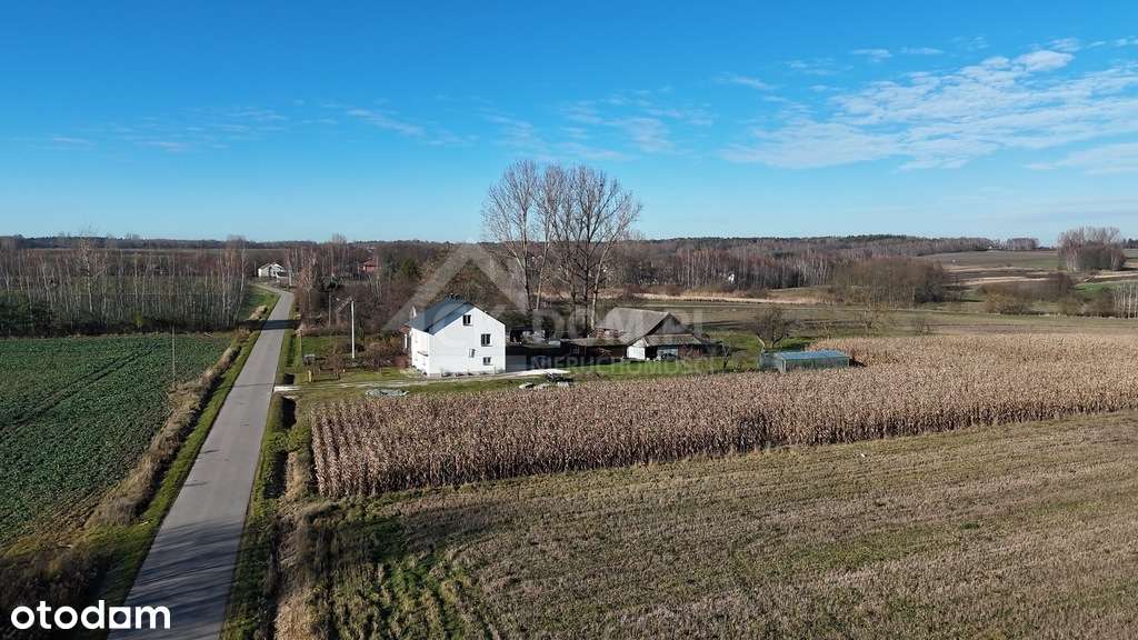 Wyjątkowa działka budowlana 1571 m² – Sielec - Pełny obrazek: 3/13