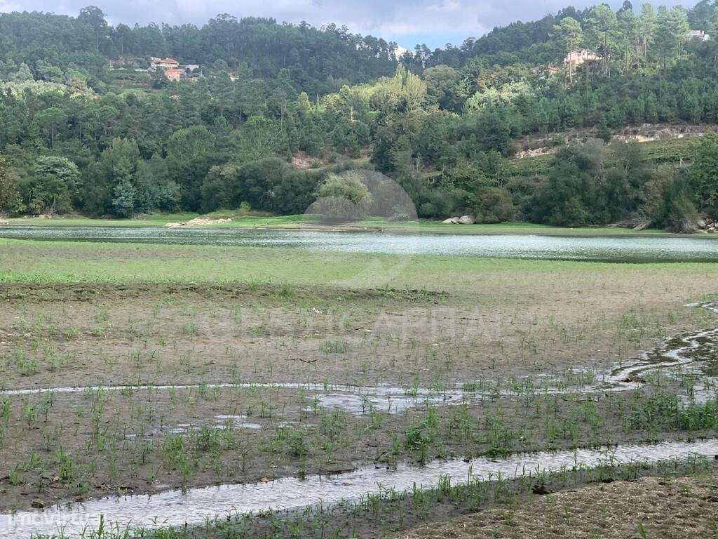 Quinta com frente rio em Santo Isidoro, Marco de Canaveses-20