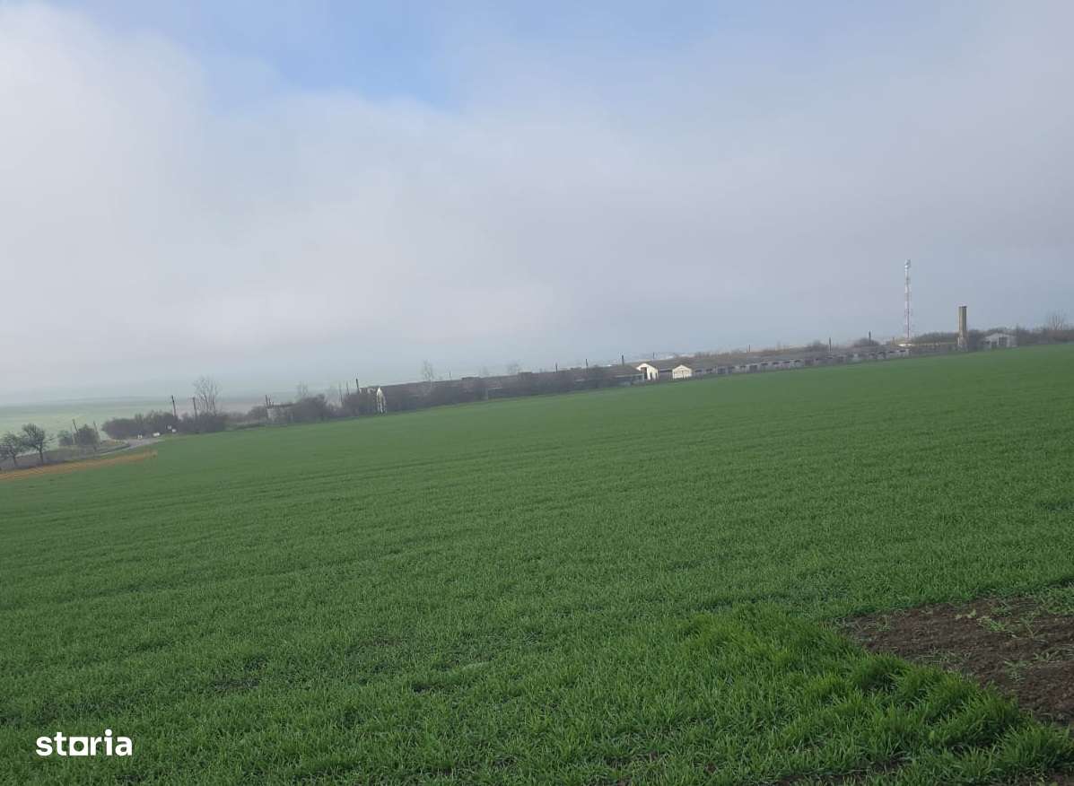 Oportunitate Investiție – Fermă 9,5 Ha cu 10.000 mp Construcții-0
