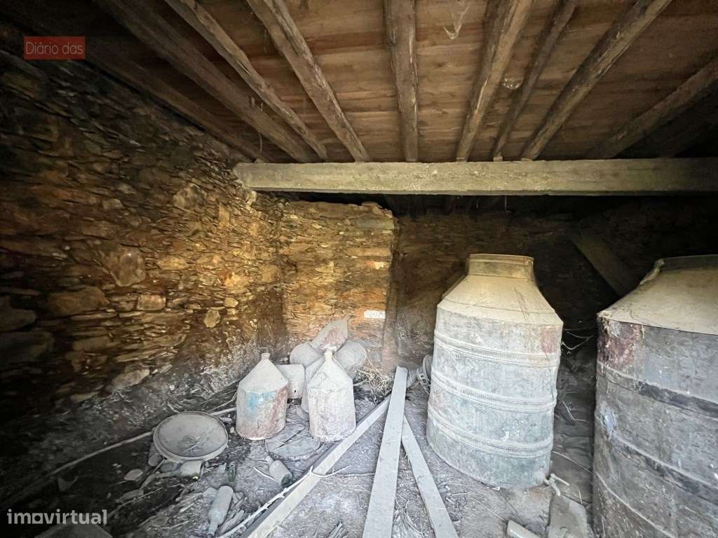 Lagar em Coimbra - Torres do Mondego (Coimbra) Portugal-31