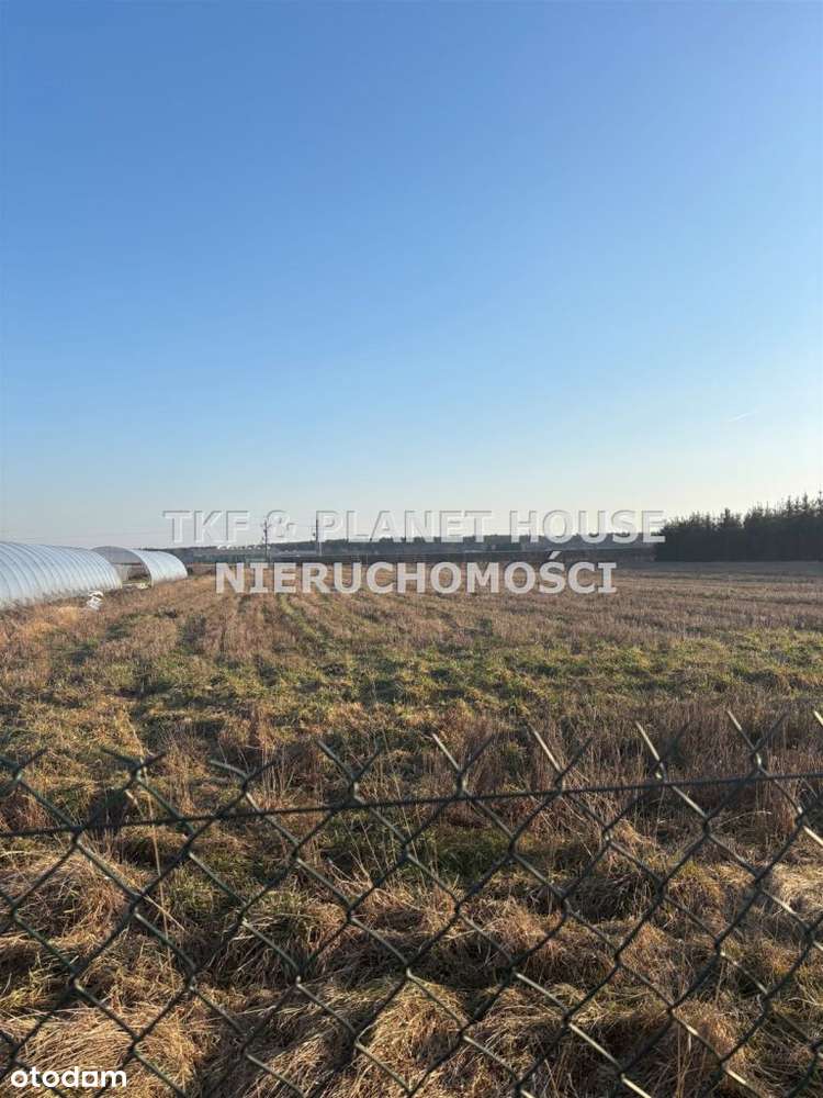 Działka z Wz 6428m2 Rzeczyca-2