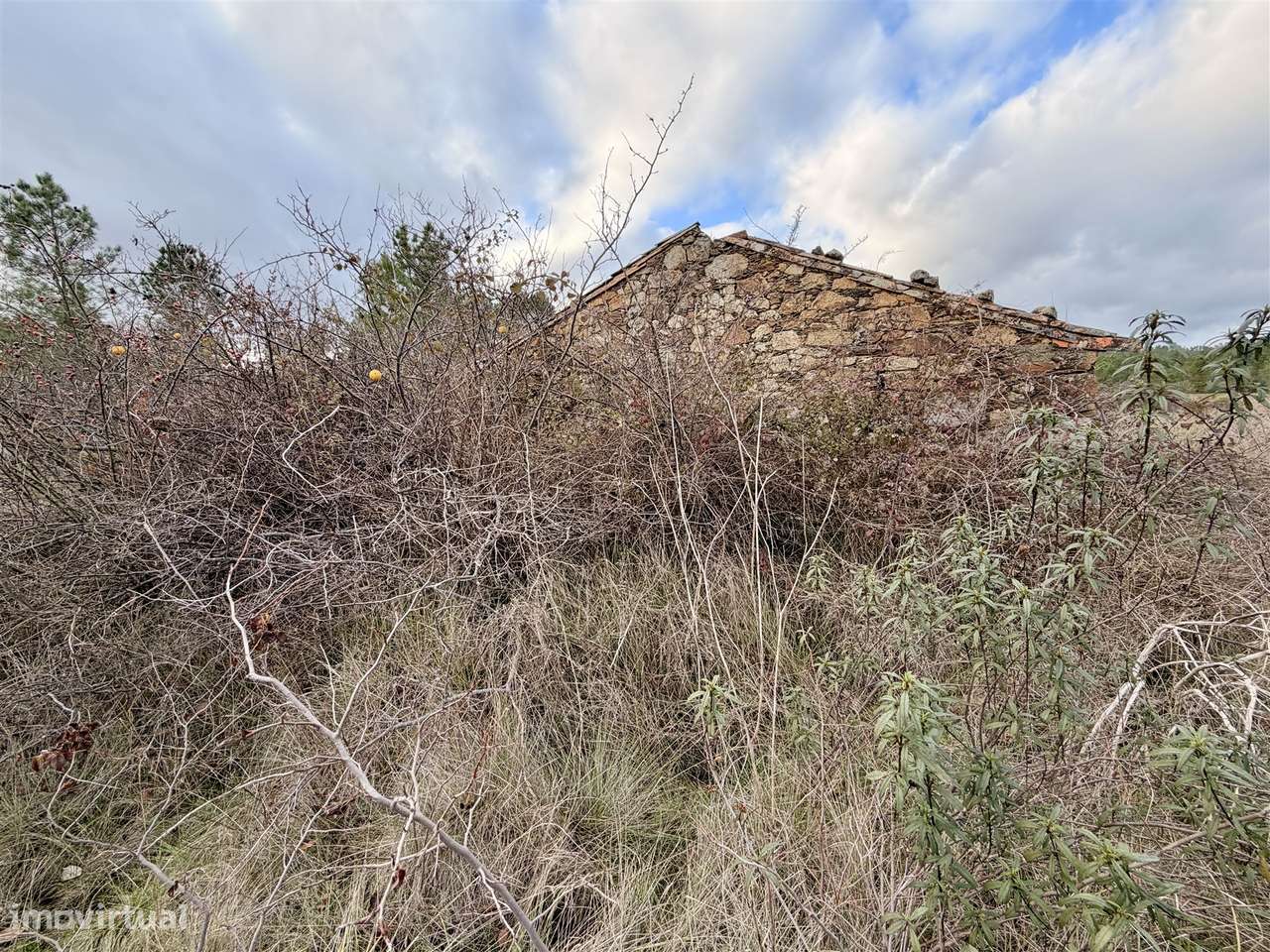 Quinta T0 Venda em Sarzedas,Castelo Branco-8