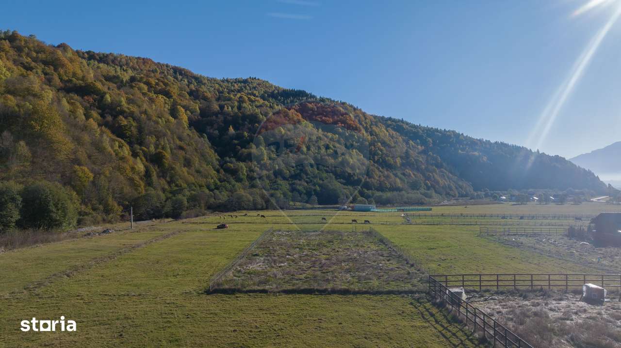 Teren cu priveliște de vis și curent trifazic – Plaiul Foii - Imagine principală: 3/7