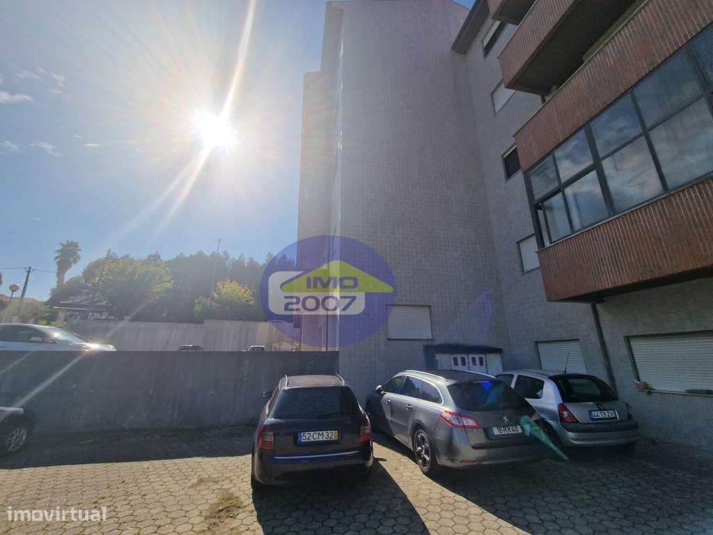 T3-Canedo-51