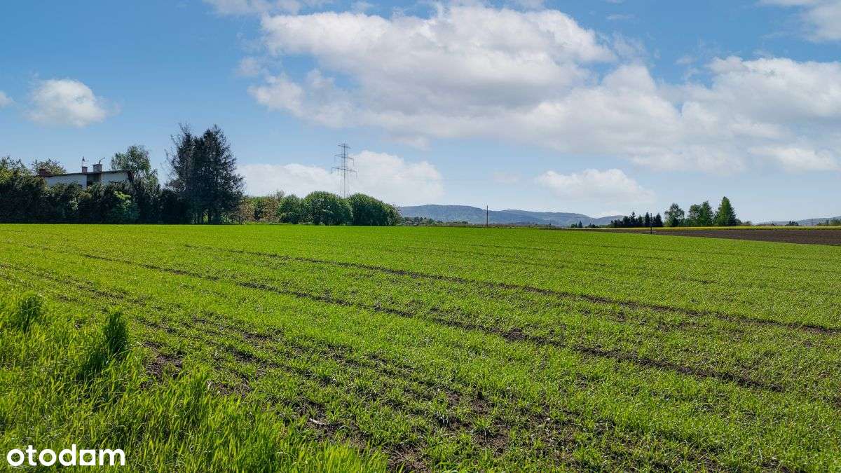 Dla Inwestora lub pod komfortową rezydencję! - Pełny obrazek: 2/5