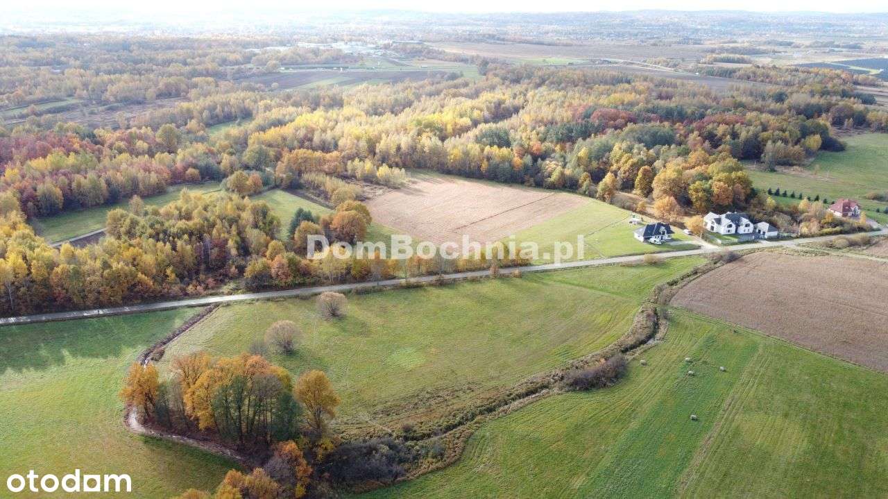 38ar budowlana przy drodze Borek Rzezawa-9