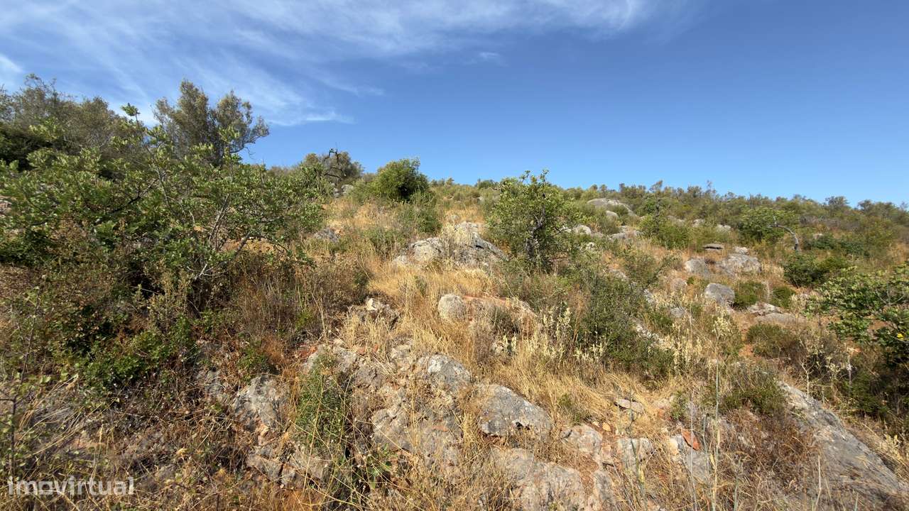 Terreno Rústico com 9920m2 na Goldra de Cima, Algarve-2