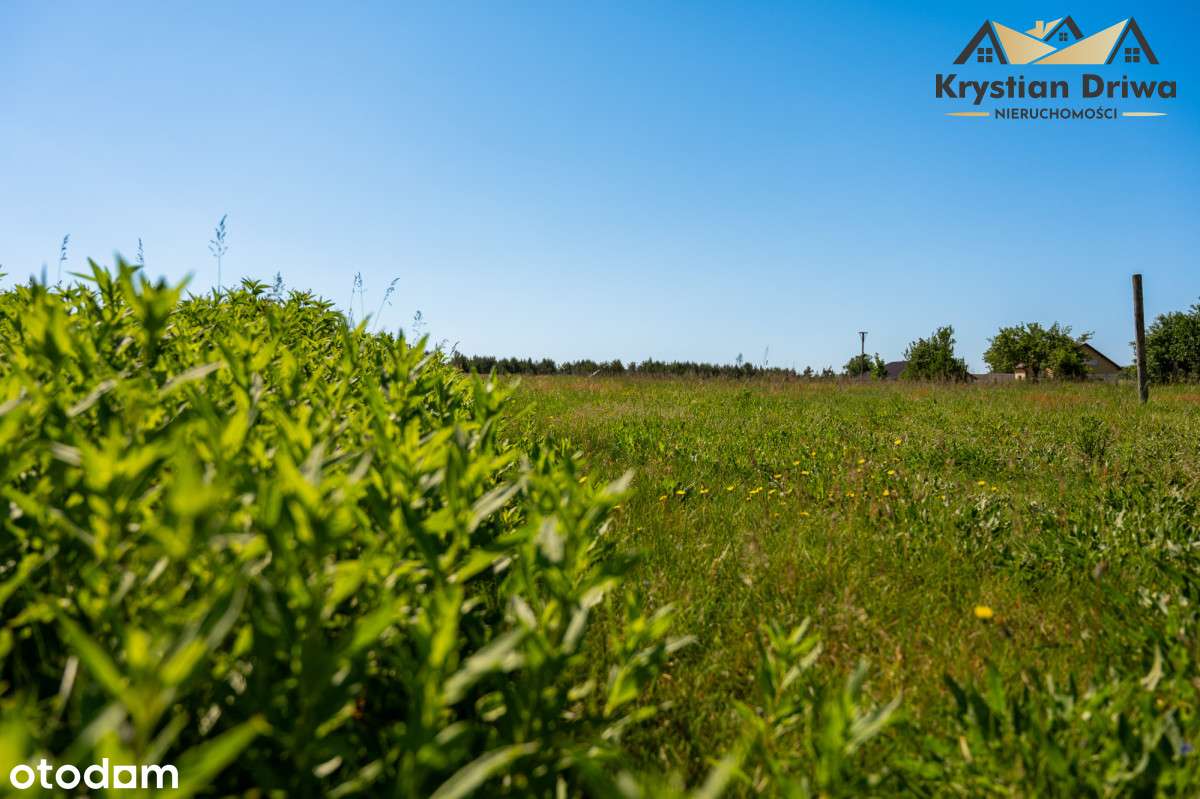 Działka z decyzją WZ - gm. Lipusz - Tuszkowy! - Pełny obrazek: 5/10