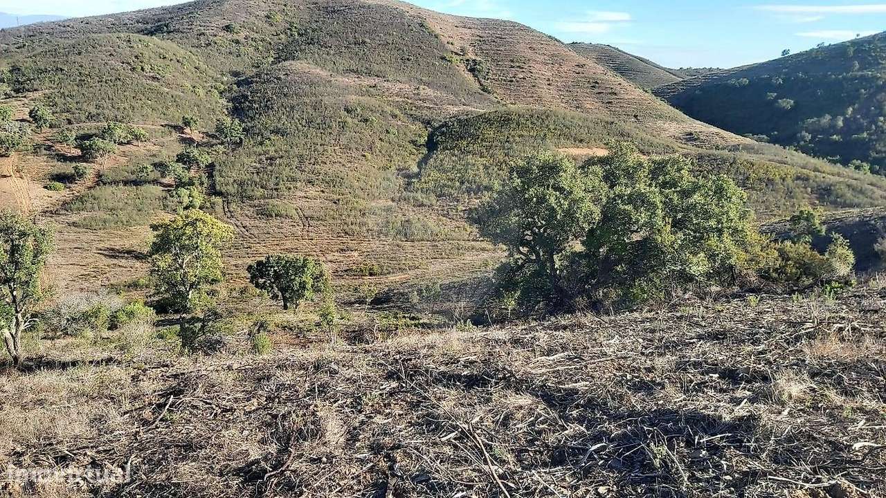 Terreno  para venda - Grande imagem: 5/8