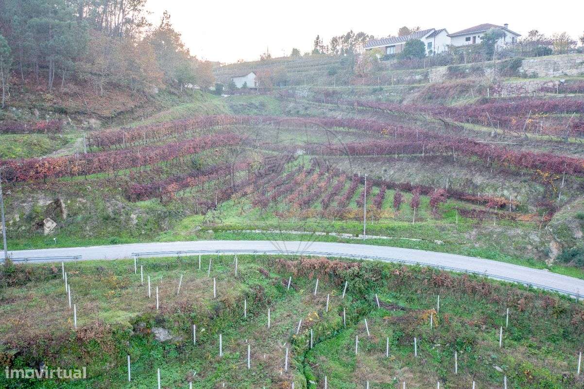 Terreno  para venda - Grande imagem: 4/7