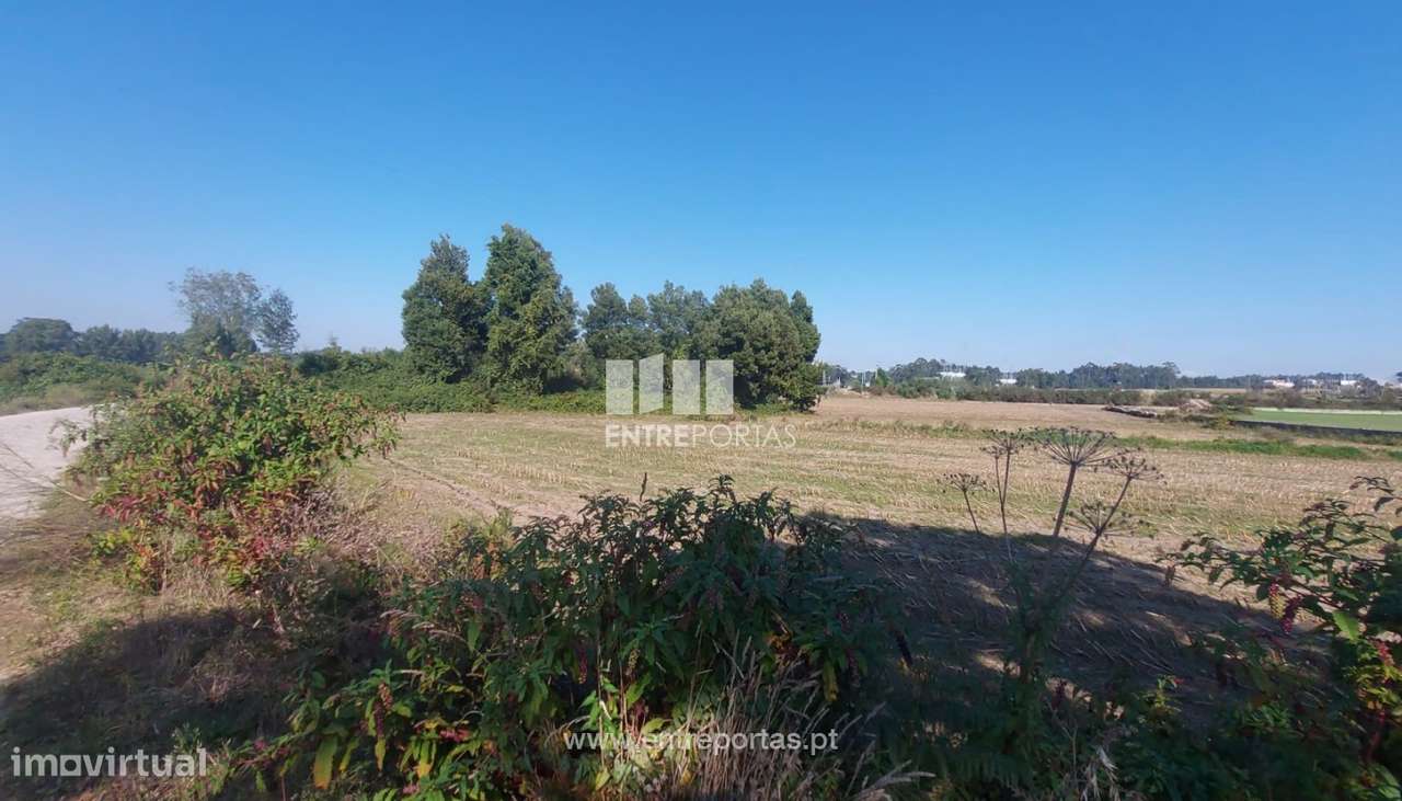 Venda de Terreno agrícola com 7250 m2, Tougues, Vila do Conde - Grande imagem: 5/11