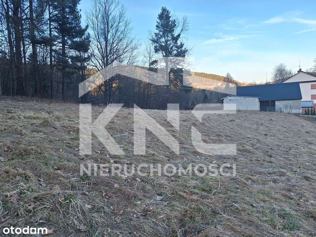 Działka przy lesie – Krzeszów – idealna pod domek! - Pełny obrazek: 3/6