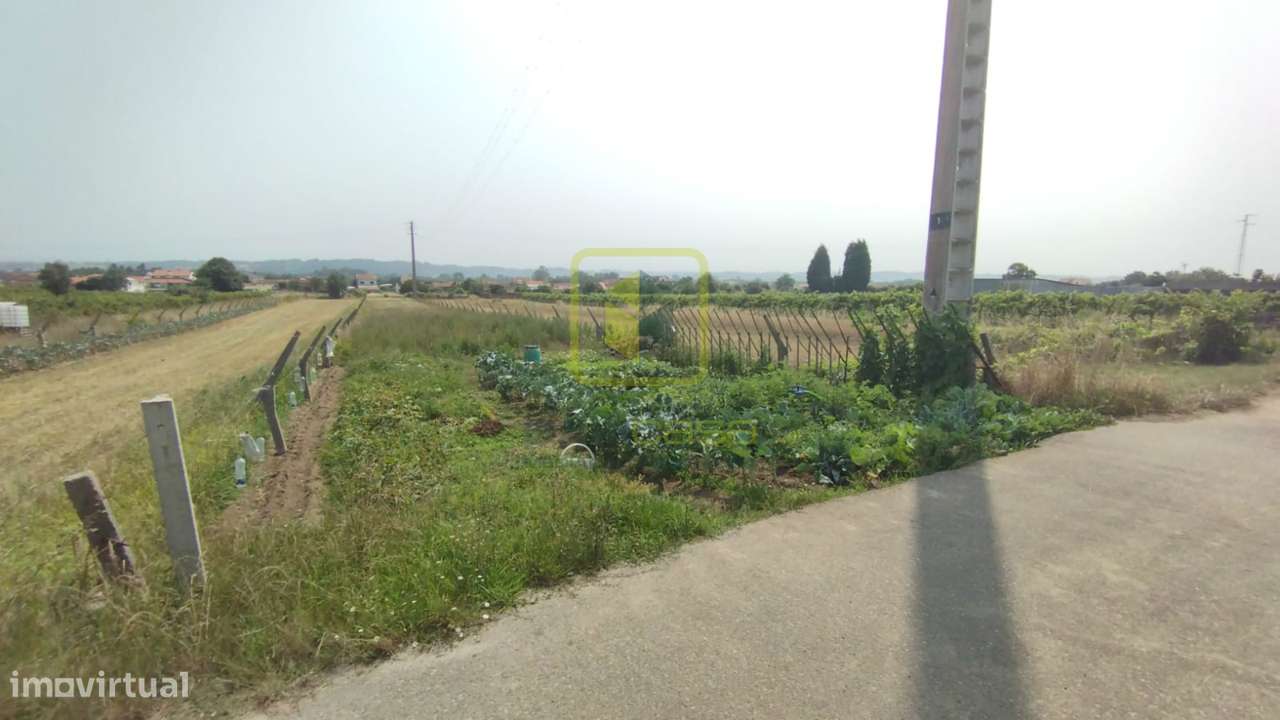 Terreno Rústico - Grande imagem: 3/11