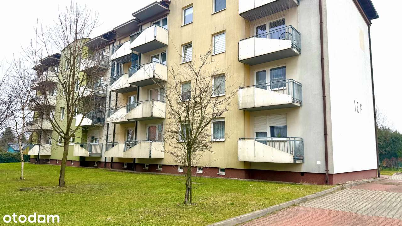 Unikatowa  oferta !-9