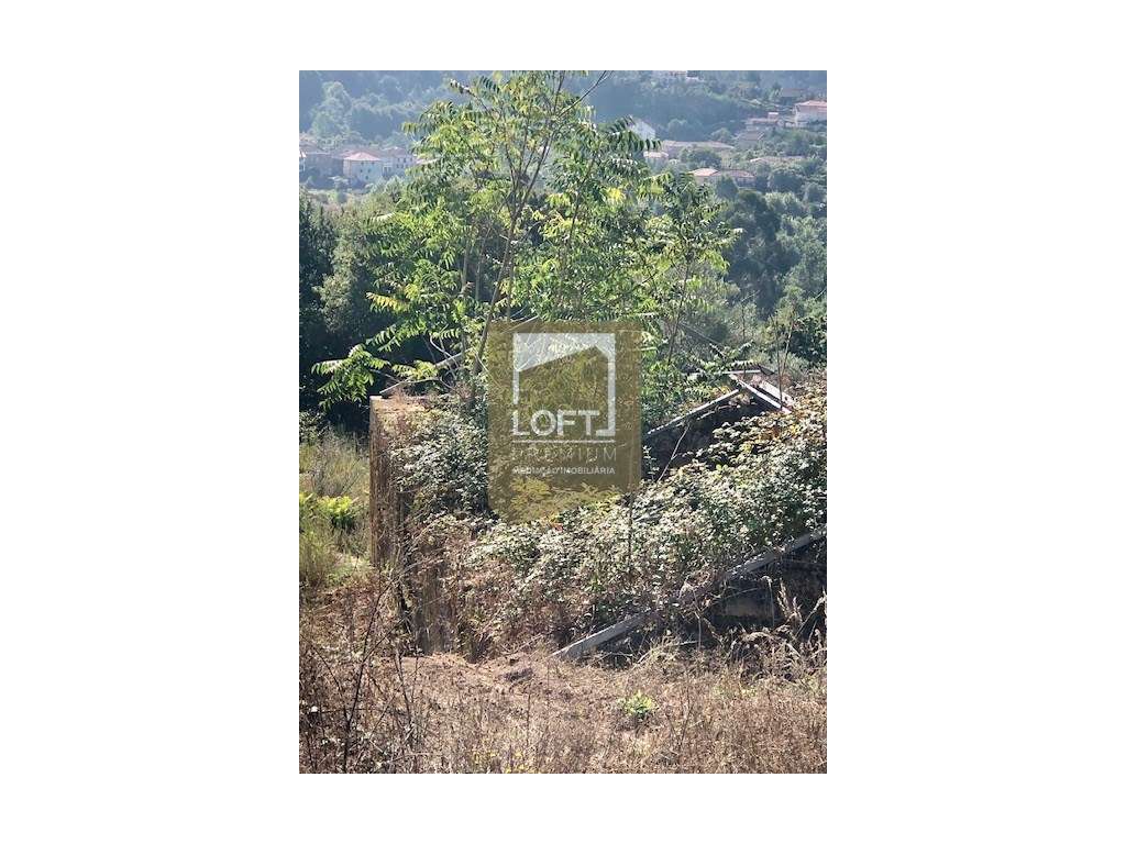 Quinta com Ruína Central em Cabeceiras de Basto - Grande imagem: 4/10