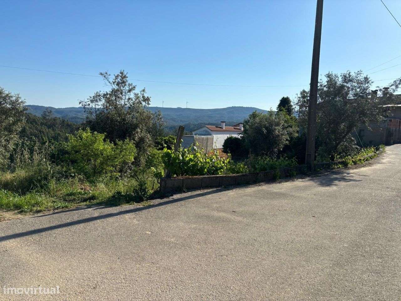 Terreno - Carvalho, Penacova / 12.000€-1