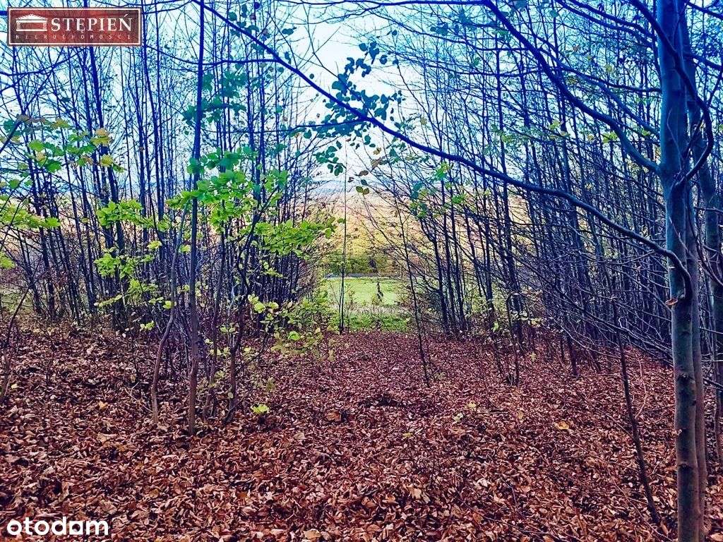 Działka, 3 677 m², Świeradów-Zdrój - Pełny obrazek: 5/12