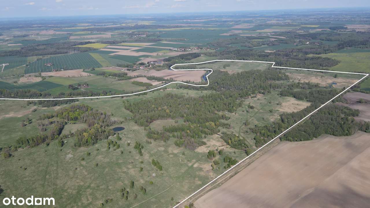 Działki rolne 247 ha / las / linia brzegowa rzeki Łyny / potencjał OZE-2