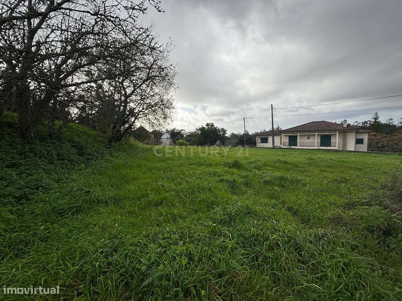 Terreno com viabilidade construtiva em Calvaria, Vermoil, Pombal - Grande imagem: 5/10