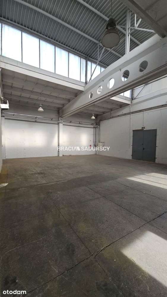 Hala produkcyjno-magazynowa z ekspozycją - Pełny obrazek: 4/9