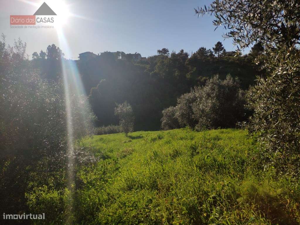 Terreno com viabilidade de construção Rocha Nova - Grande imagem: 3/4