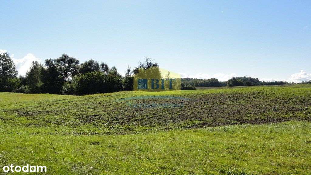 Grunt o pow.10,47 ha - Pełny obrazek: 4/19