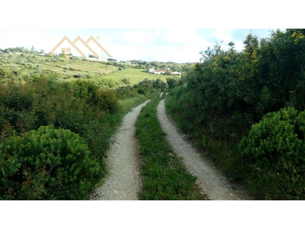 Quinta Boialvo em Vila Franca de Xira-19