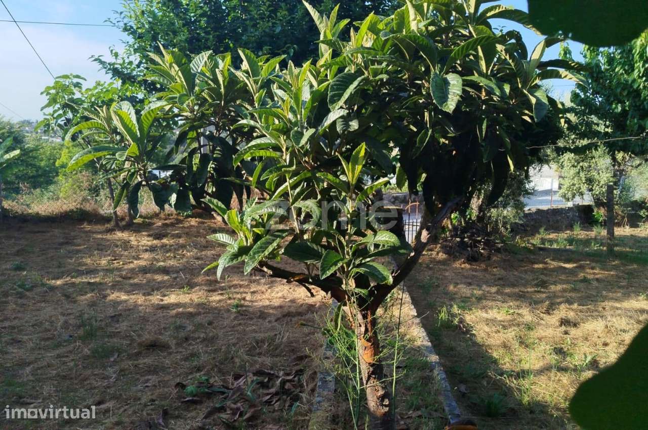 Moradia em Pedra com quintal em Matados, a 5 minutos Mangualde-20