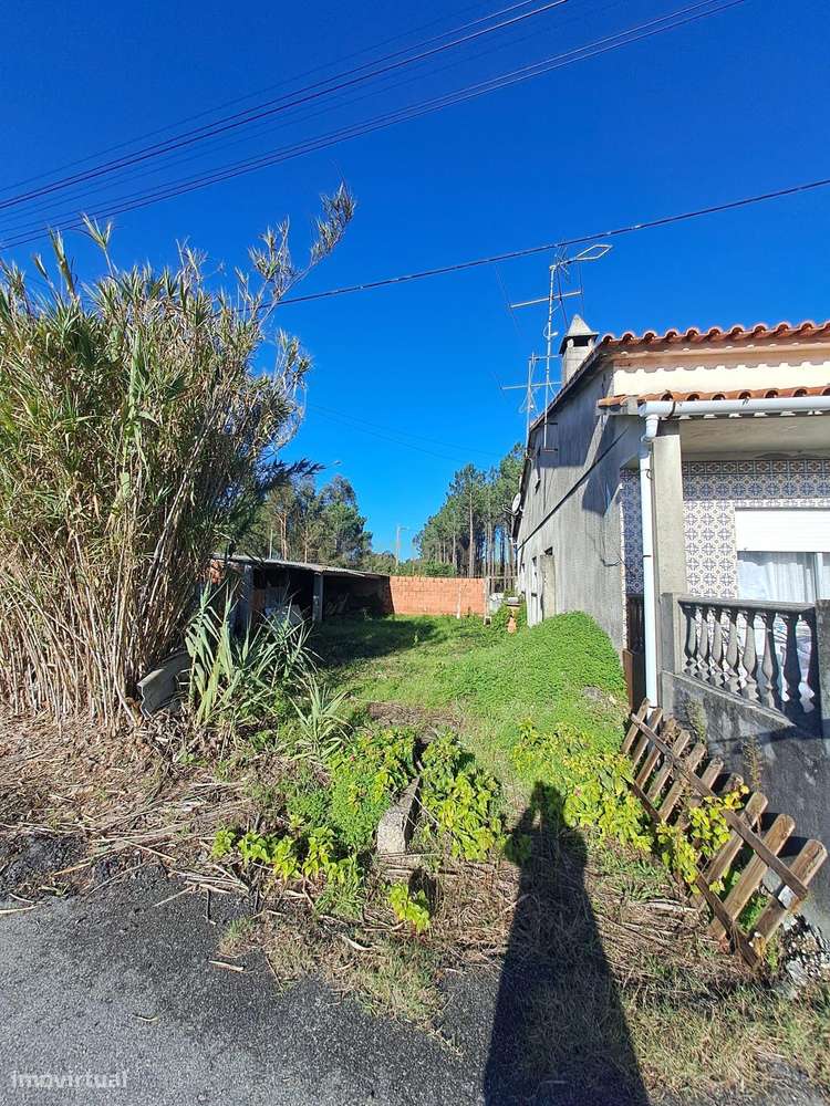 Moradia T4 térrea com terreno na Pedra de Cima – Conforto e tranquilid - Grande imagem: 4/24