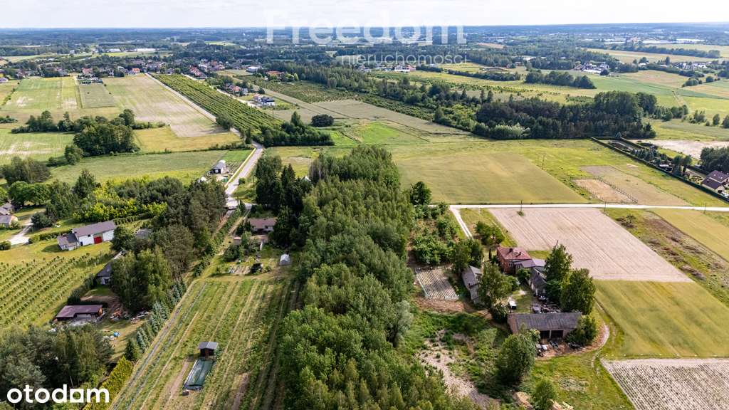 Działki inwestycyjne Kotorydz 25 812 m² - Pełny obrazek: 4/14