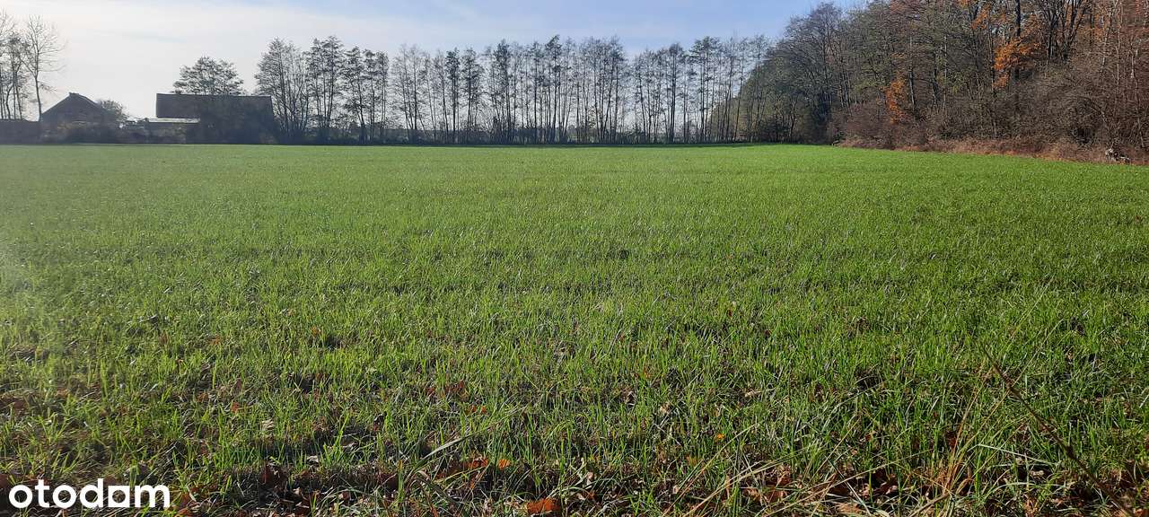 7 działek REZYDENCJONALNYCH  PRZY LESIE  1614m2 do 2610m2 podatek VAT-8